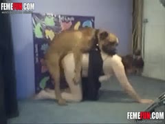 Mom fucks dog when home alone and enjoys the finest zoophilia on cam